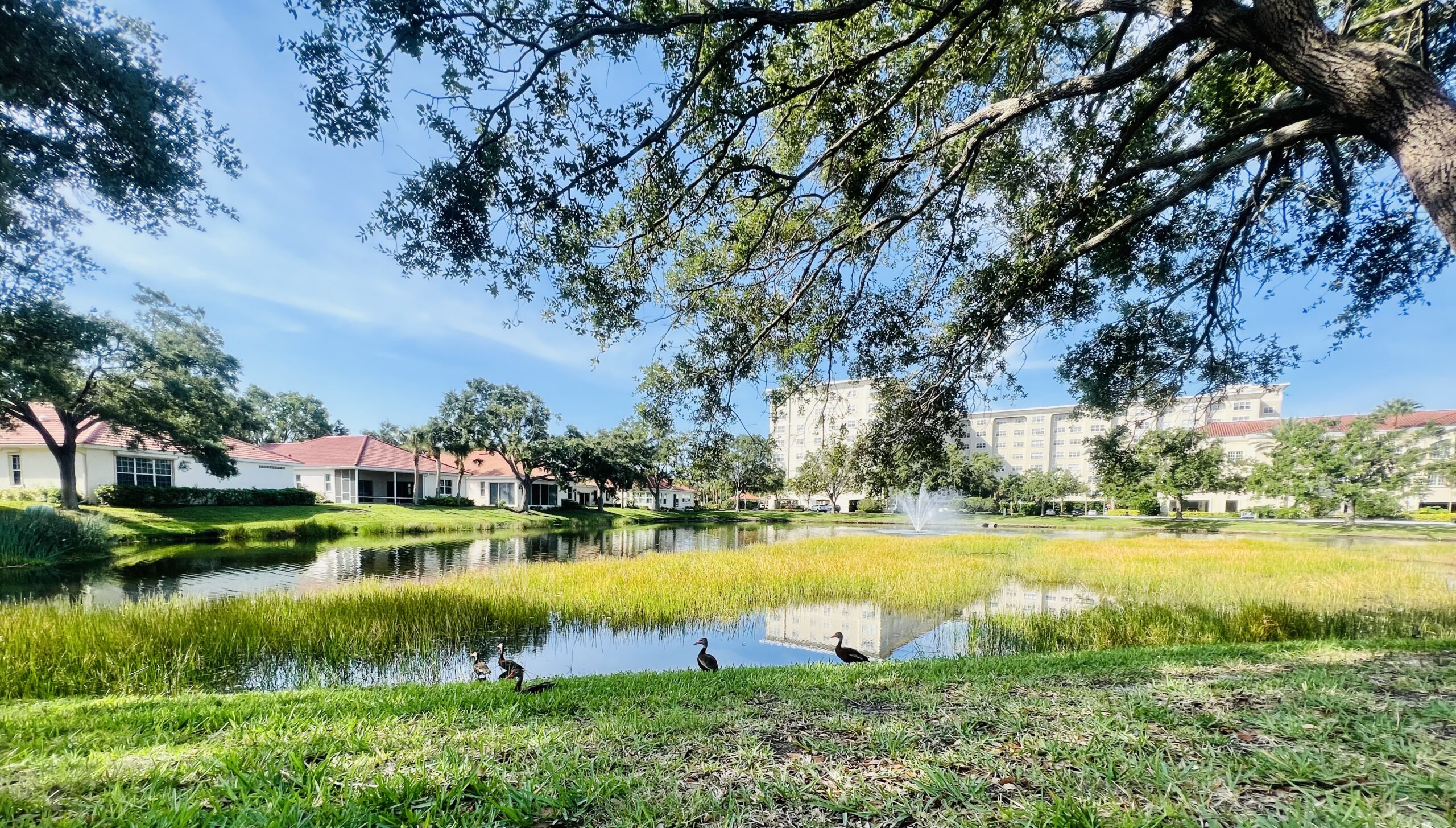 Photos of Around the Jacaranda Trace Campus in Venice, Fl.