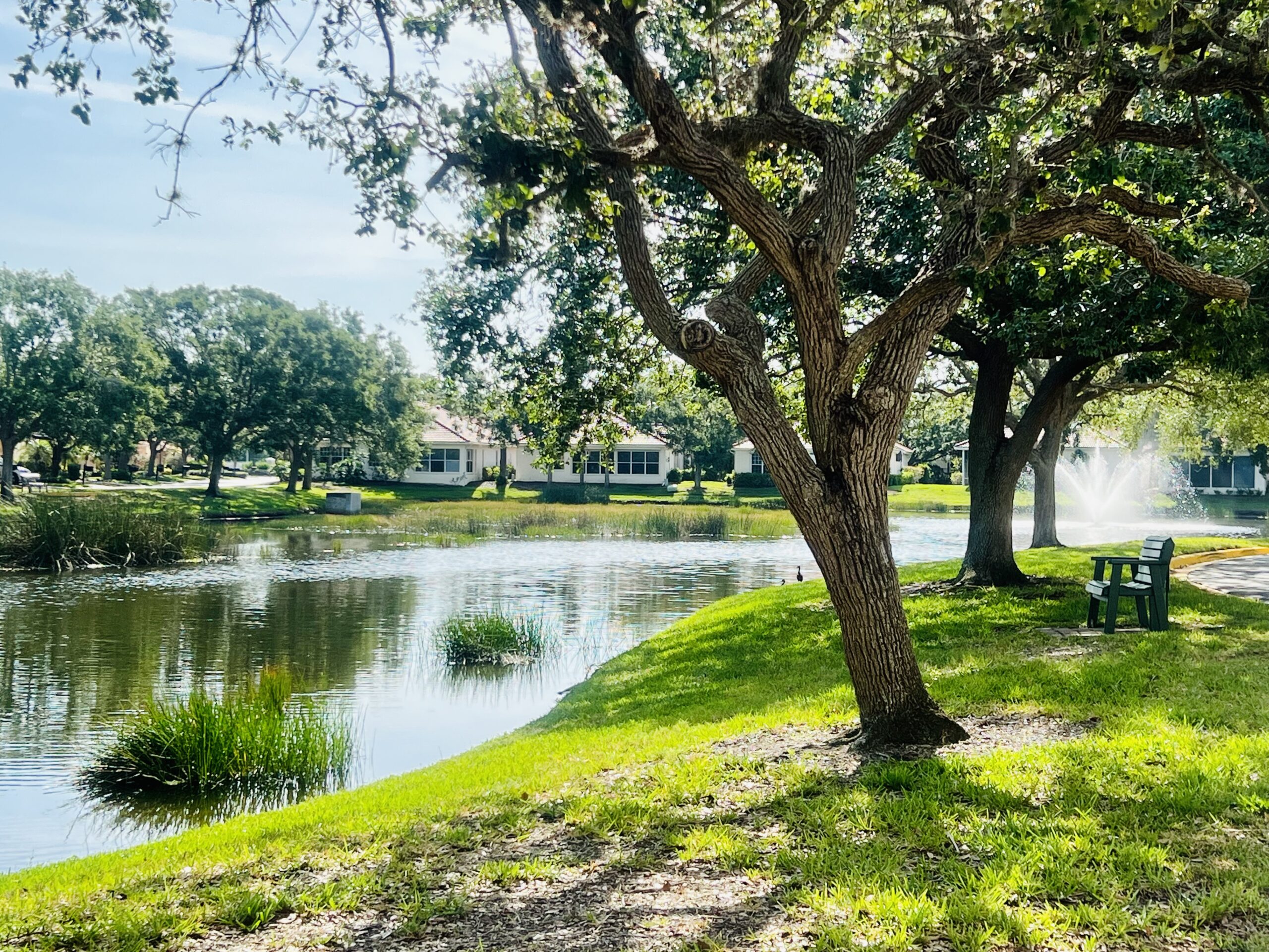 Photos of Around the Jacaranda Trace Campus in Venice, Fl.