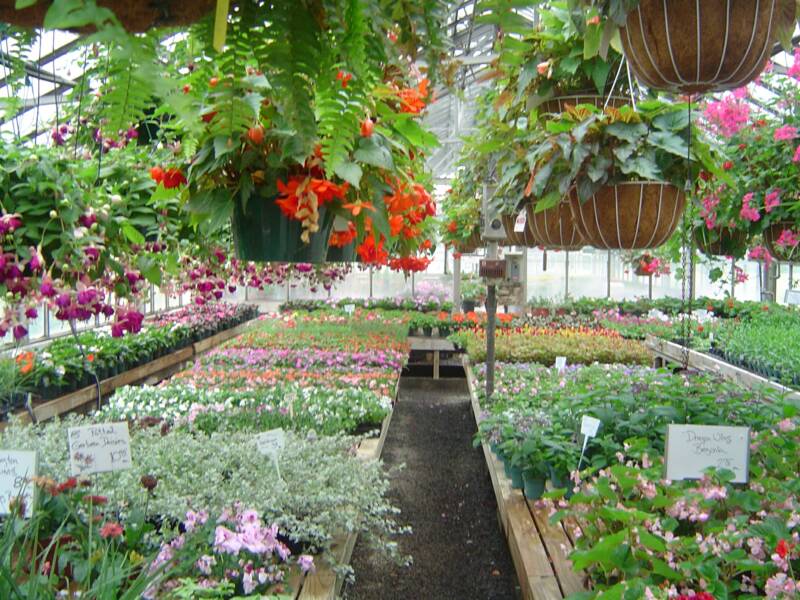 to Jack's Garden Center & Nursery