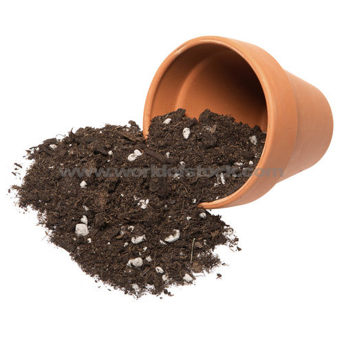 to Jack's Garden Center & Nursery