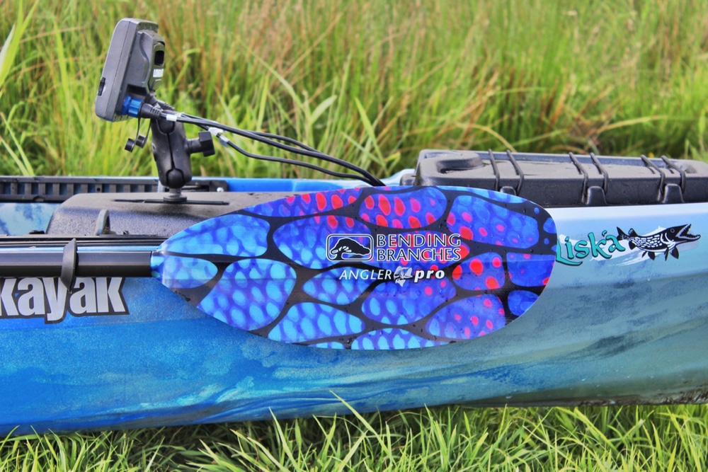 Top 15 Essential Gear for Kayak Fishing Jackson Adventures