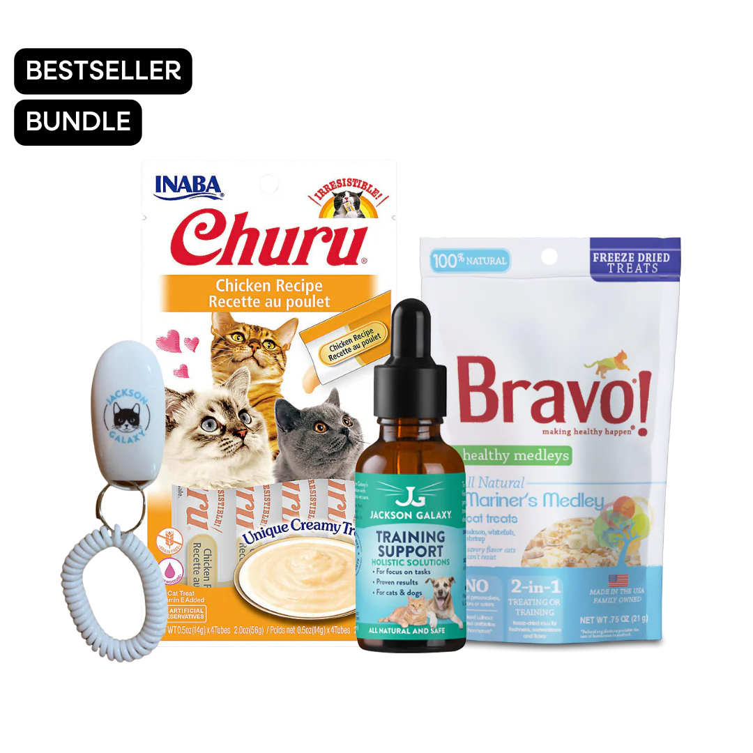 Clicker Training Your Cat Jackson Galaxy