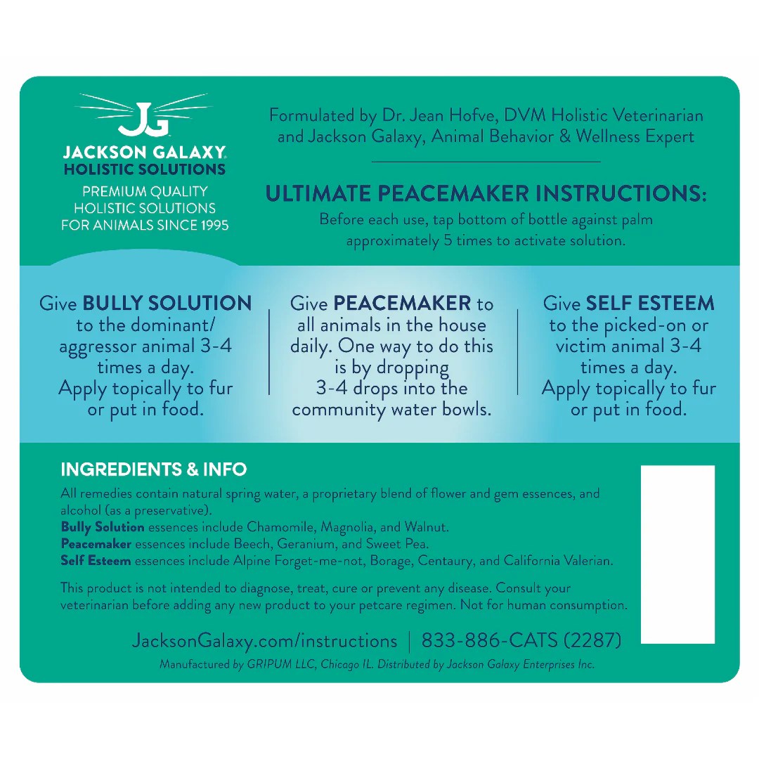 Cat Introductions Part 2 Home! Jackson Galaxy