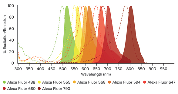 Alexa Fluor® 568 Secondary Antibodies - Jackson Immuno