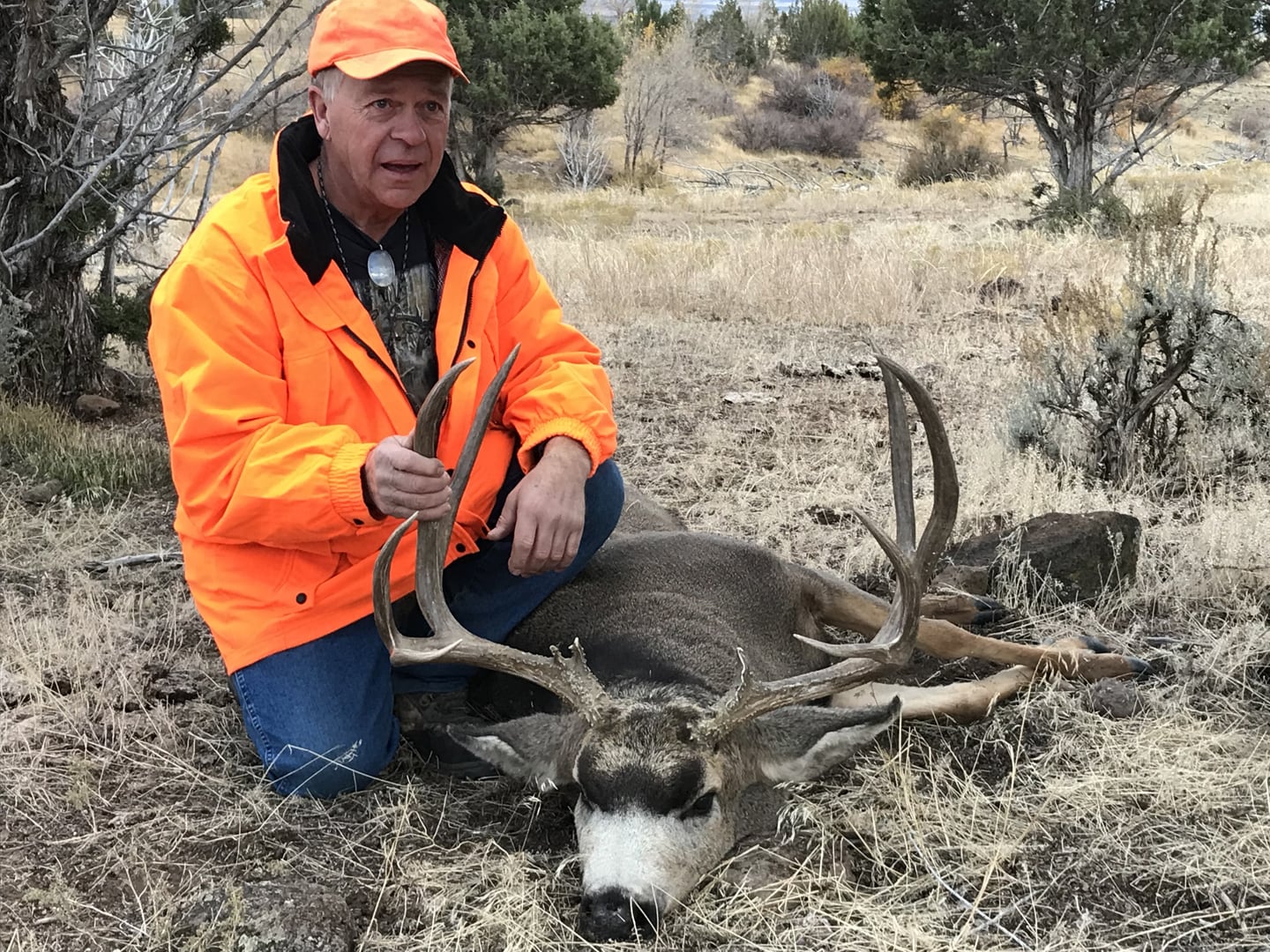 Colorado Deer Hunting Units Goimages All