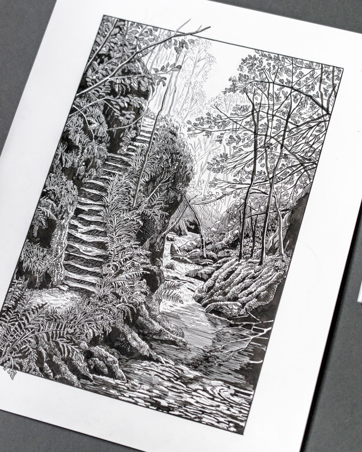 Two Illustrators draw with Jackson’s Indian Ink LaptrinhX / News