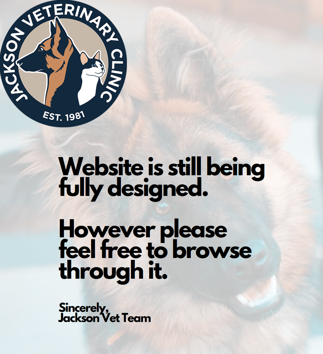 Veterinarian in Jackson, GA Jackson Veterinary Clinic