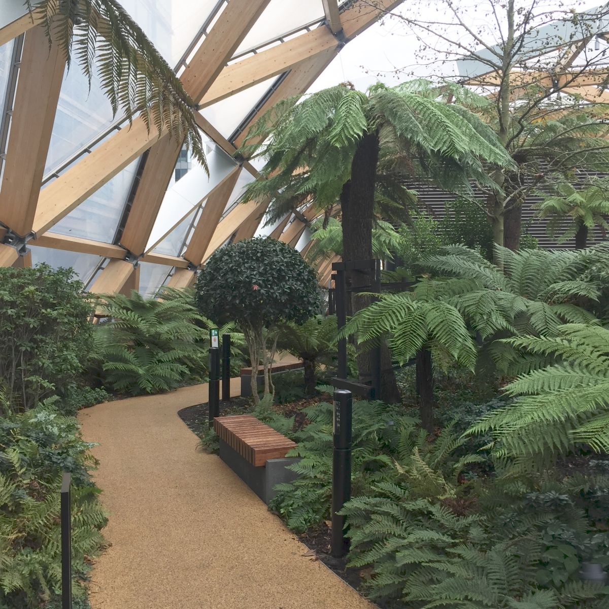 Crossrail Place Roof Garden Jack Wallington Garden Design Ltd