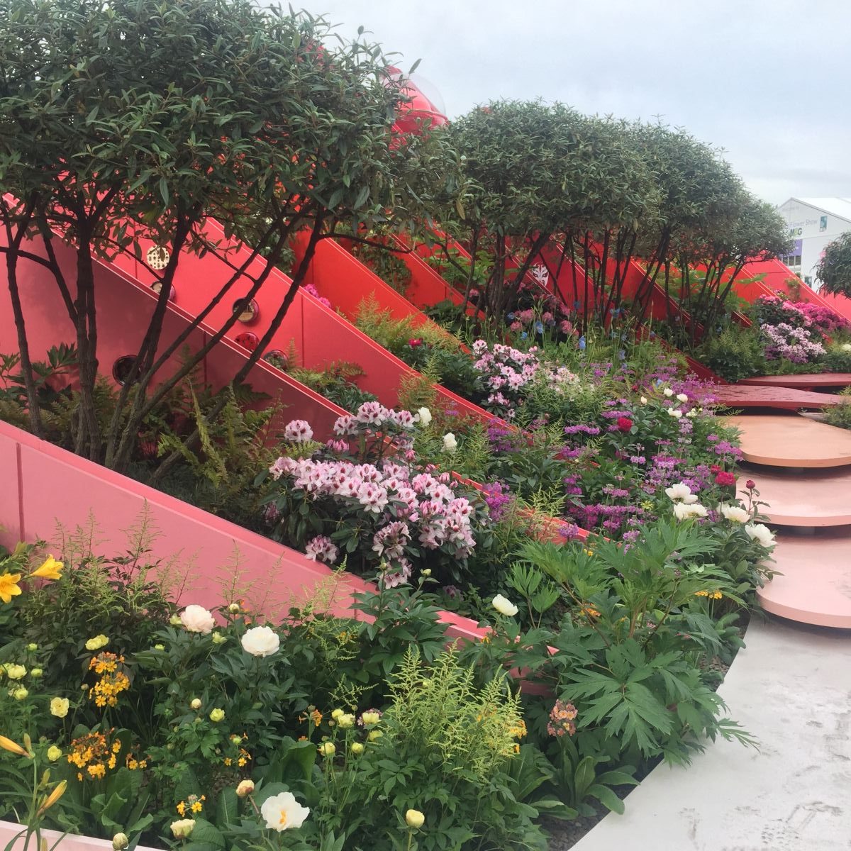 RHS Chelsea Flower Show 2017 Press Day Highlights Jack Wallington