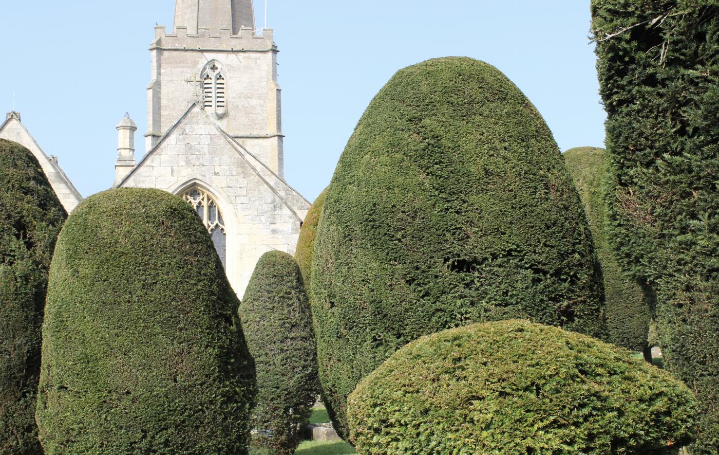 The 99 Topiary Yew Trees of St. Mary’s church in Painswick, Cotswolds