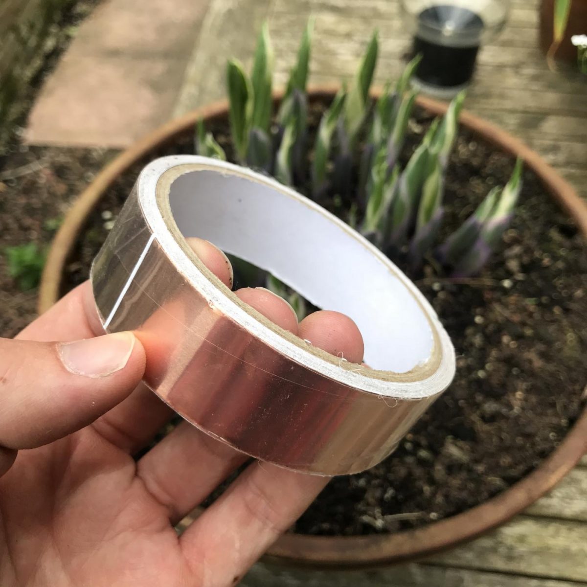 Copper tape it works Jack Wallington Nature & Gardens