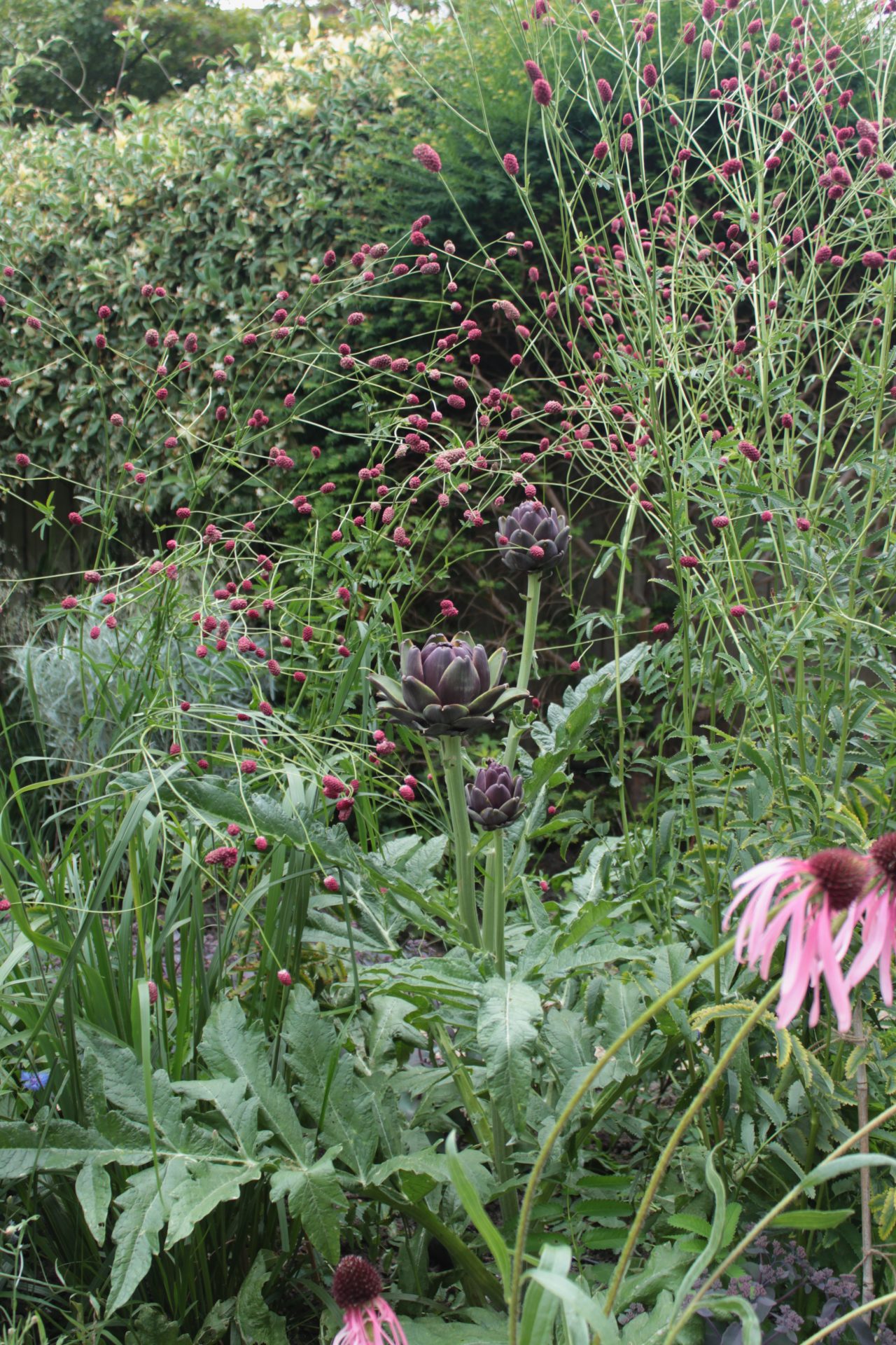 Landscape design portfolio Jack Wallington Garden Design Ltd.