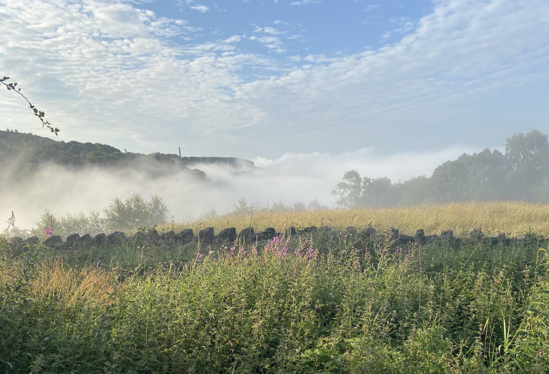 7 ways high altitude gardening impacts plant growth Jack Wallington