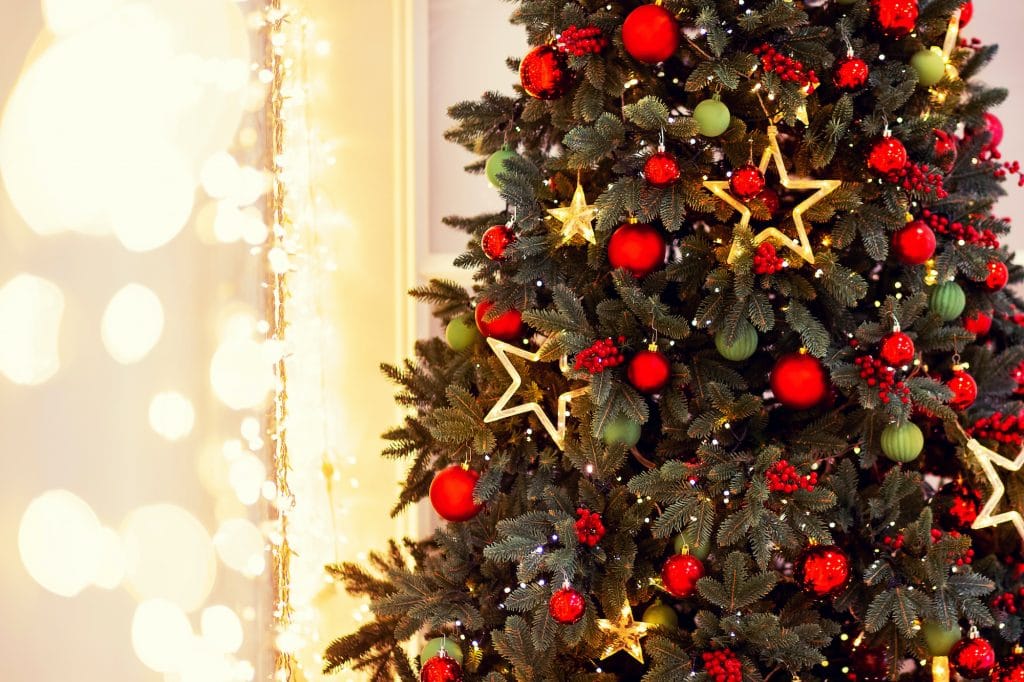 12 Different Types of Christmas Flowers and Plants Jacobs Christmas