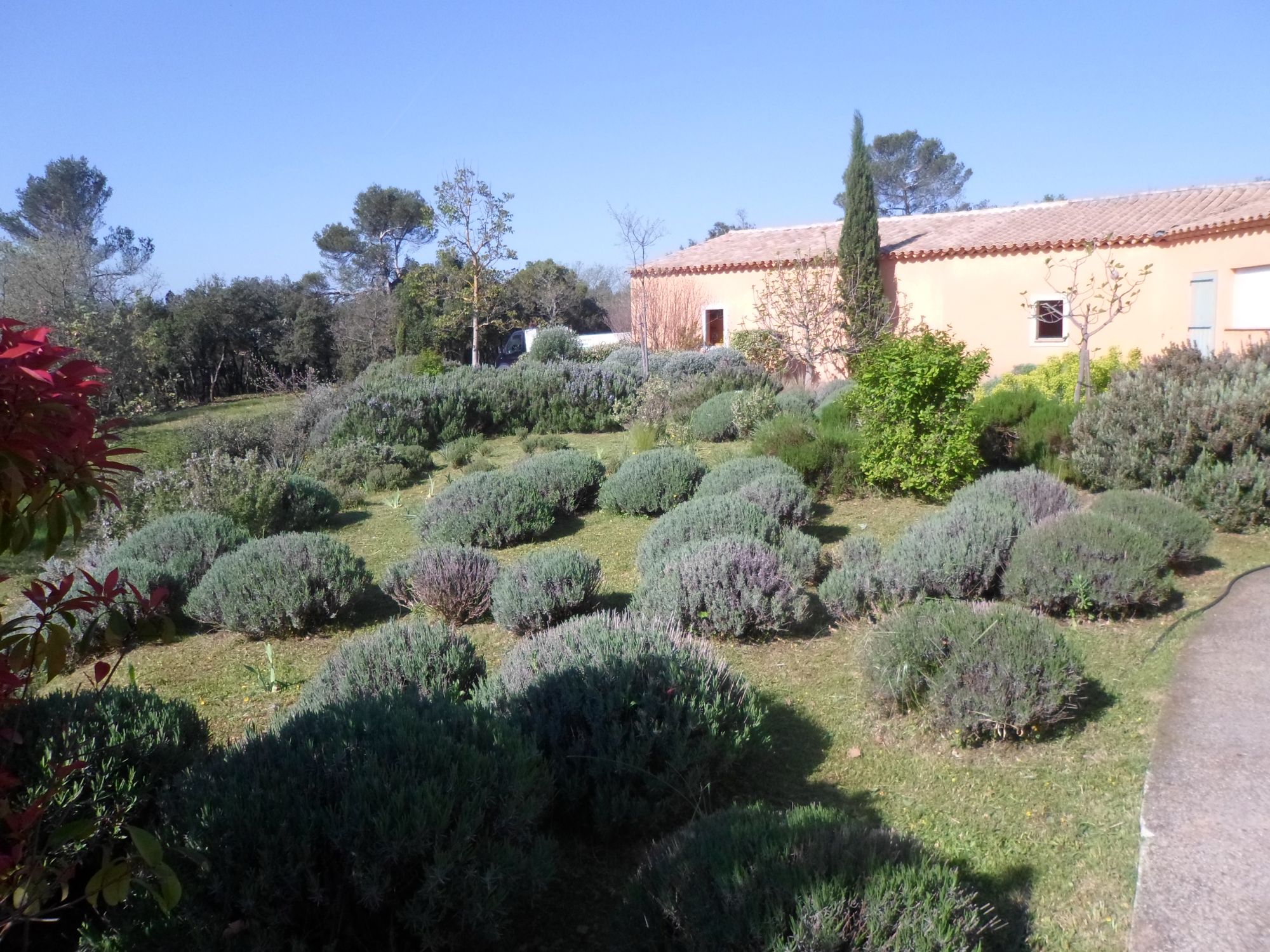 Amenagement Jardin Provencal Parc à thème