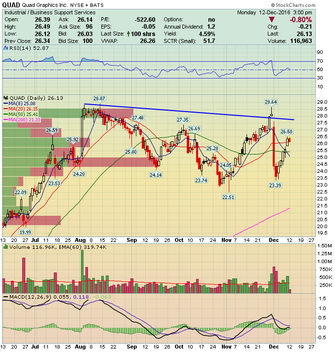 Quad Graphics (QUAD) An EverChanging Print & Media Company