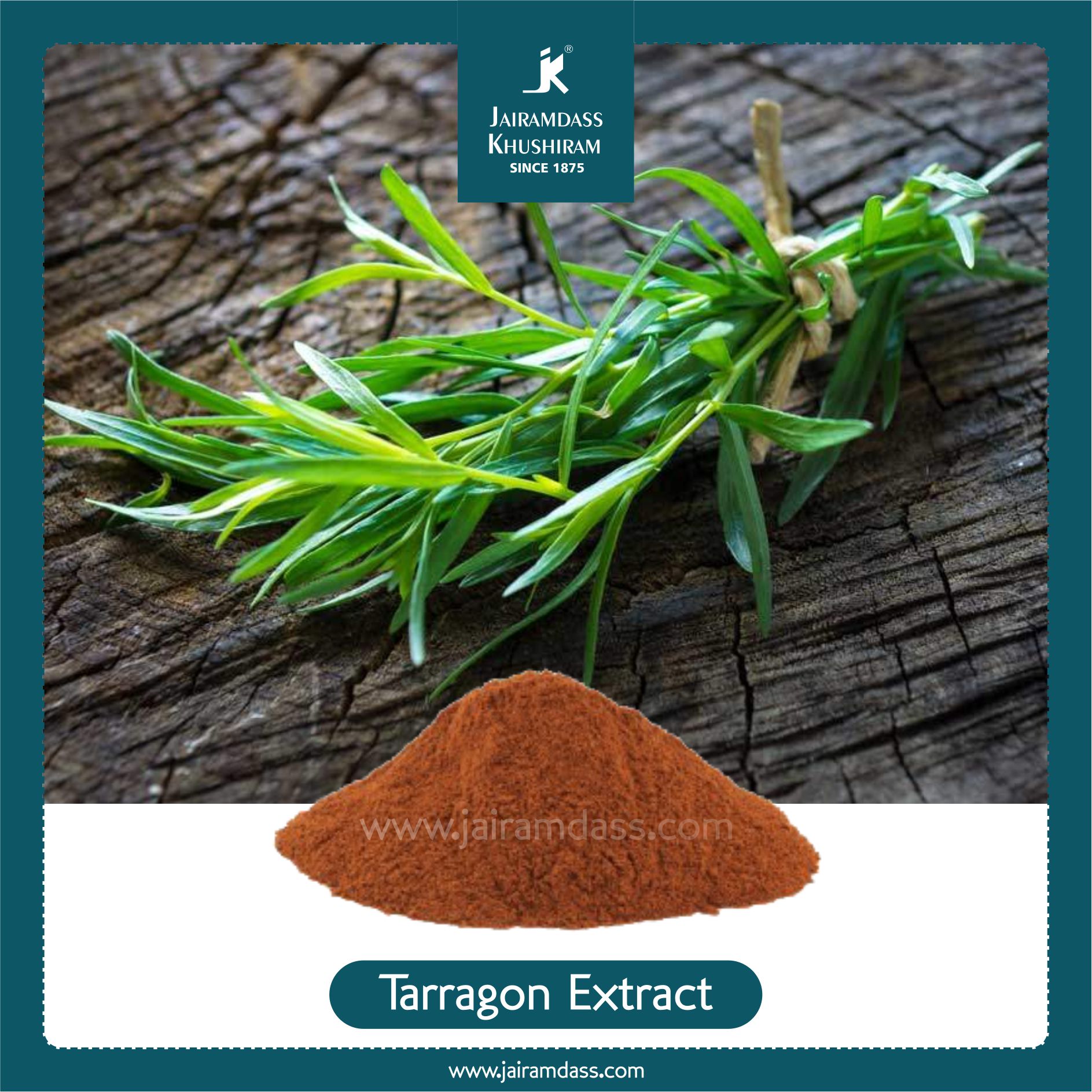 Manufacturer of Artemisia Dracunculus Extract