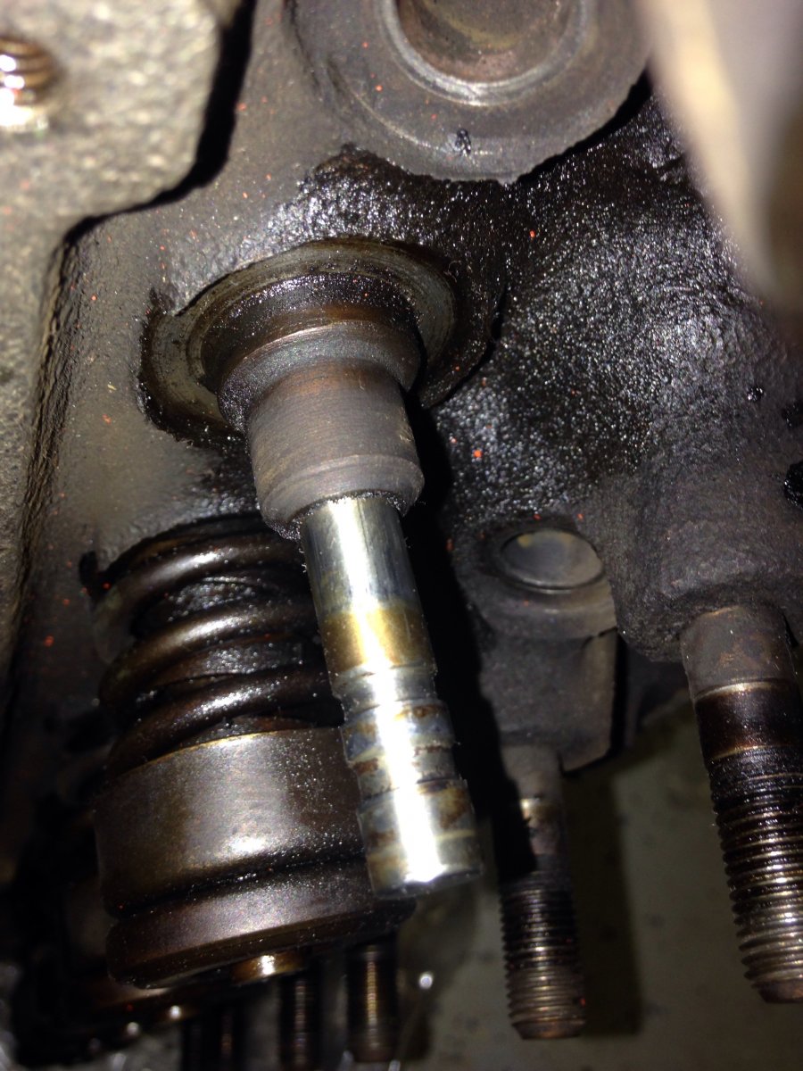 Technical Sbc valve seals The H.A.M.B.