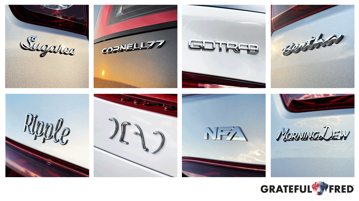 Grateful Fred Officially Licensed Grateful Dead Chrome Bolts, Car