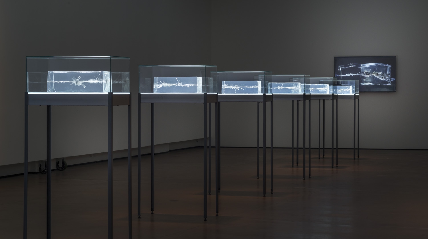 The Propeller Group Artists James Cohan