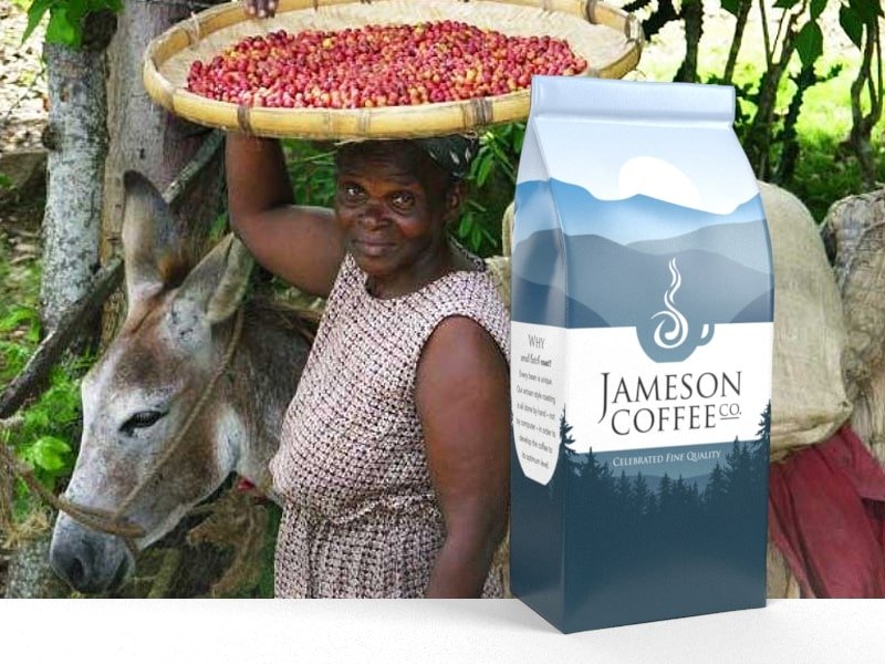Haitian Ranquitte Coffee Jameson Coffee