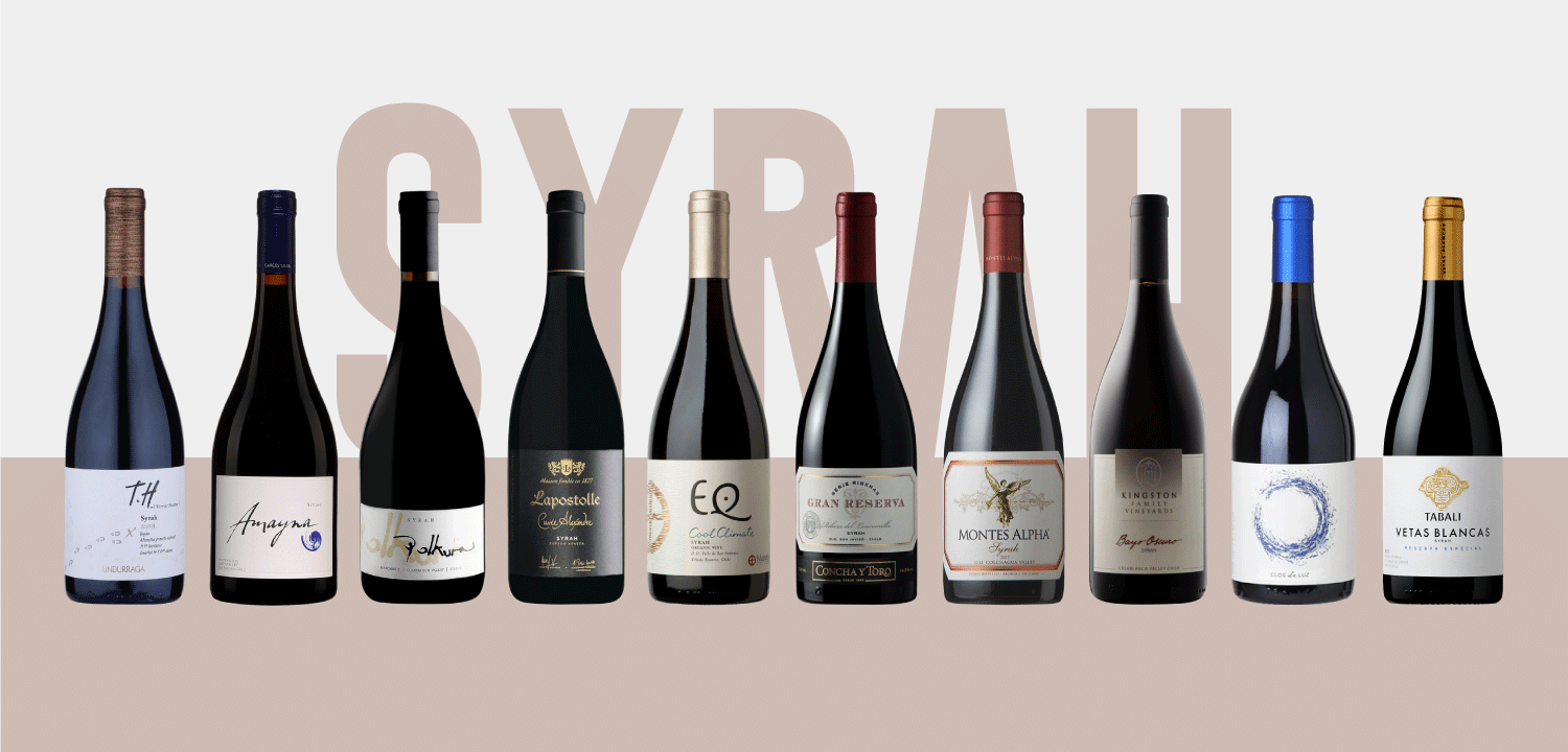Great Value Wines Chilean Syrah under 35
