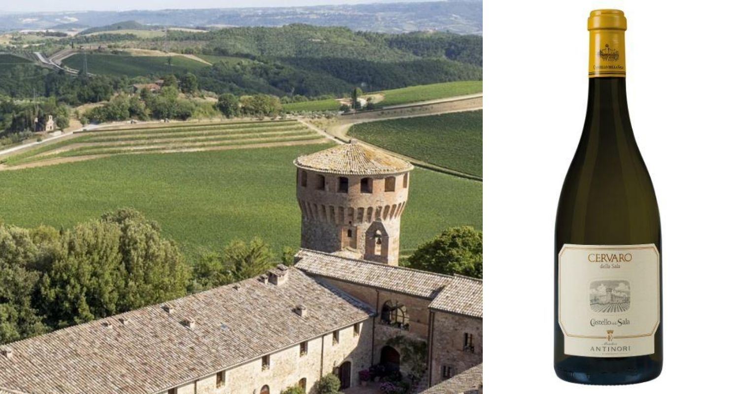 Top 100 Italian white wines for the summer