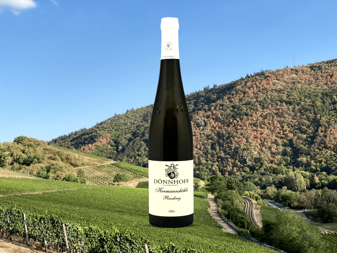 James Suckling's Top 100 Wines of Germany 2021