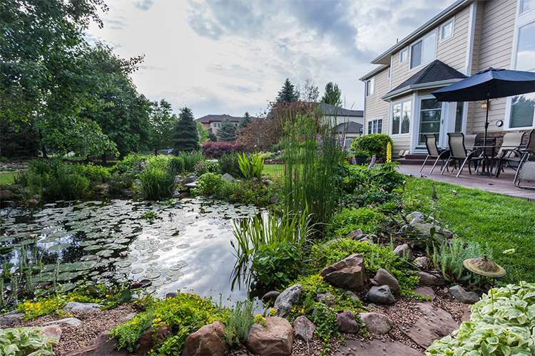 Southwest Longmont Paradise J and S Landscape