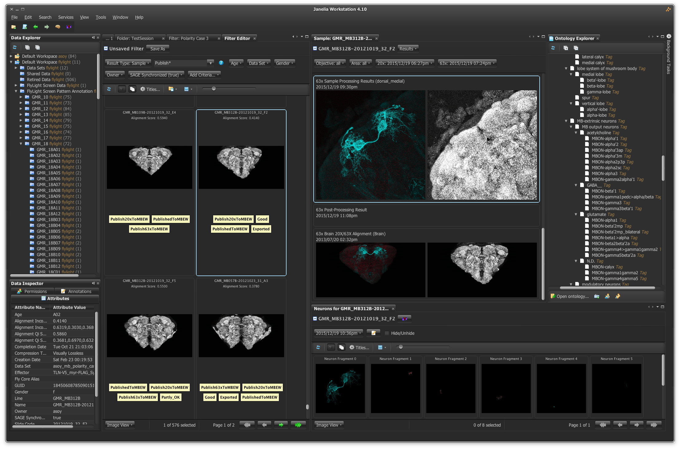 Scientific Computing Synergy Among Systems, Software, and Science