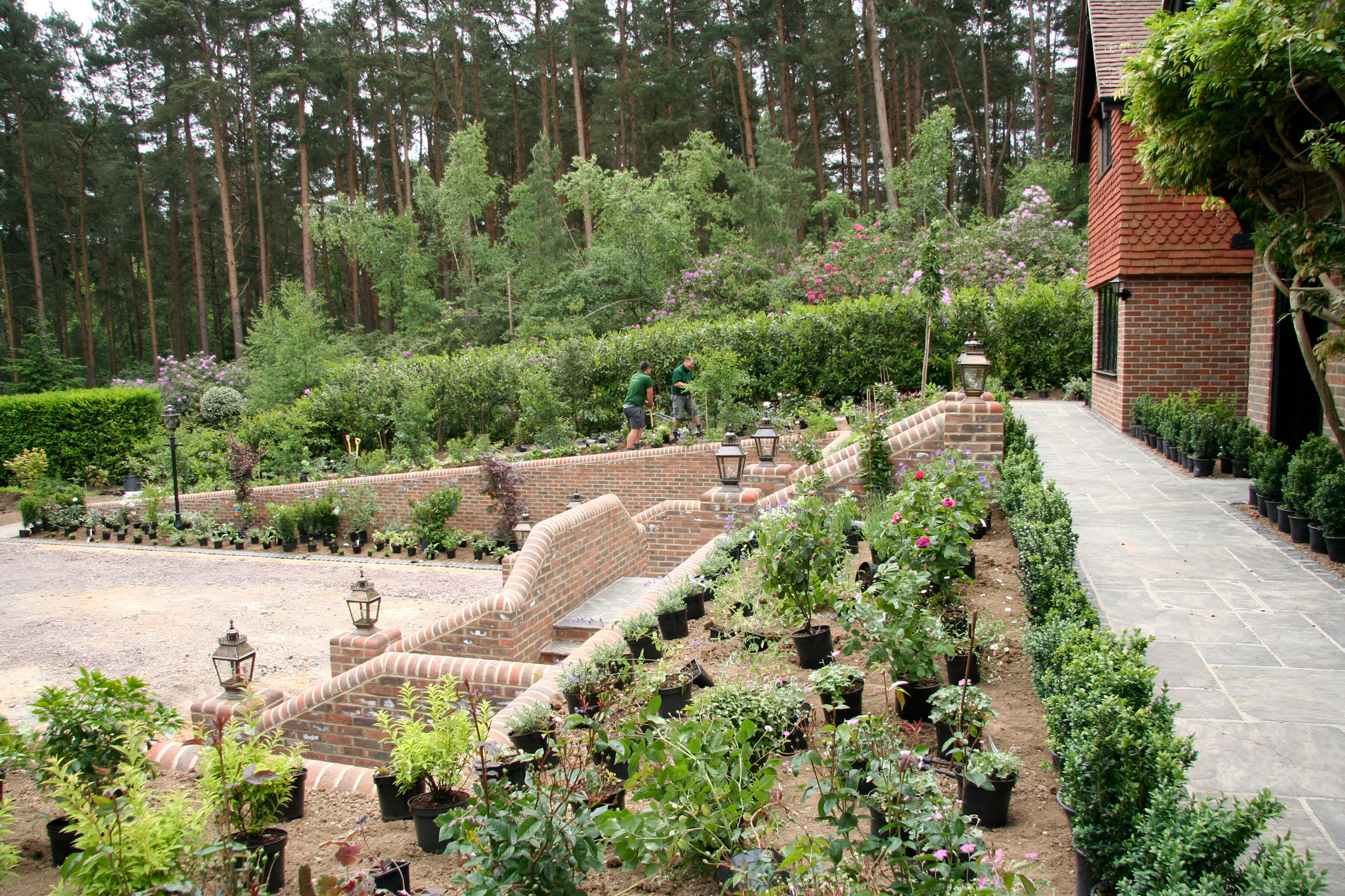 Planting Design by Bligh Garden Design Services