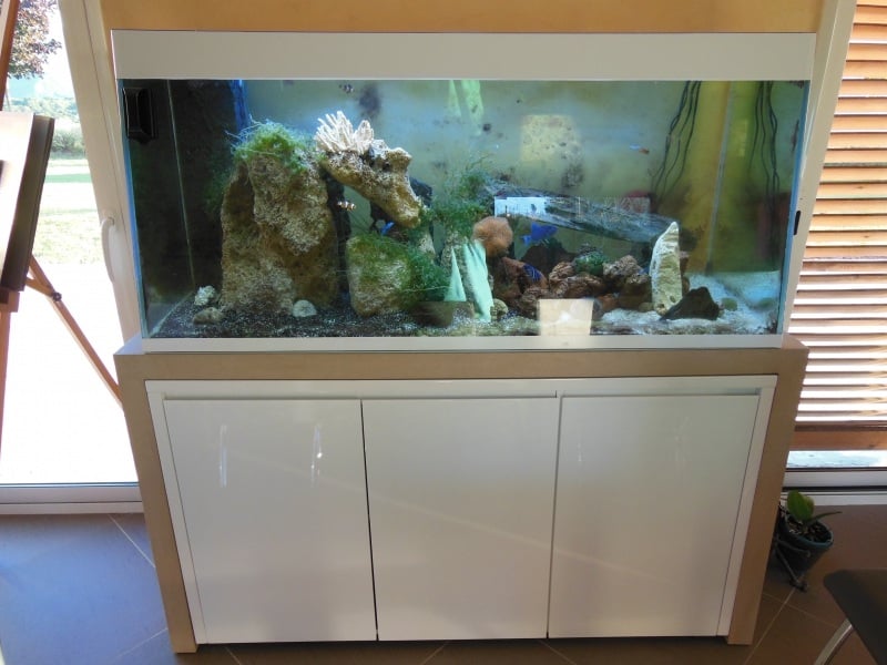 Aquarium Avec Meuble Pas Cher