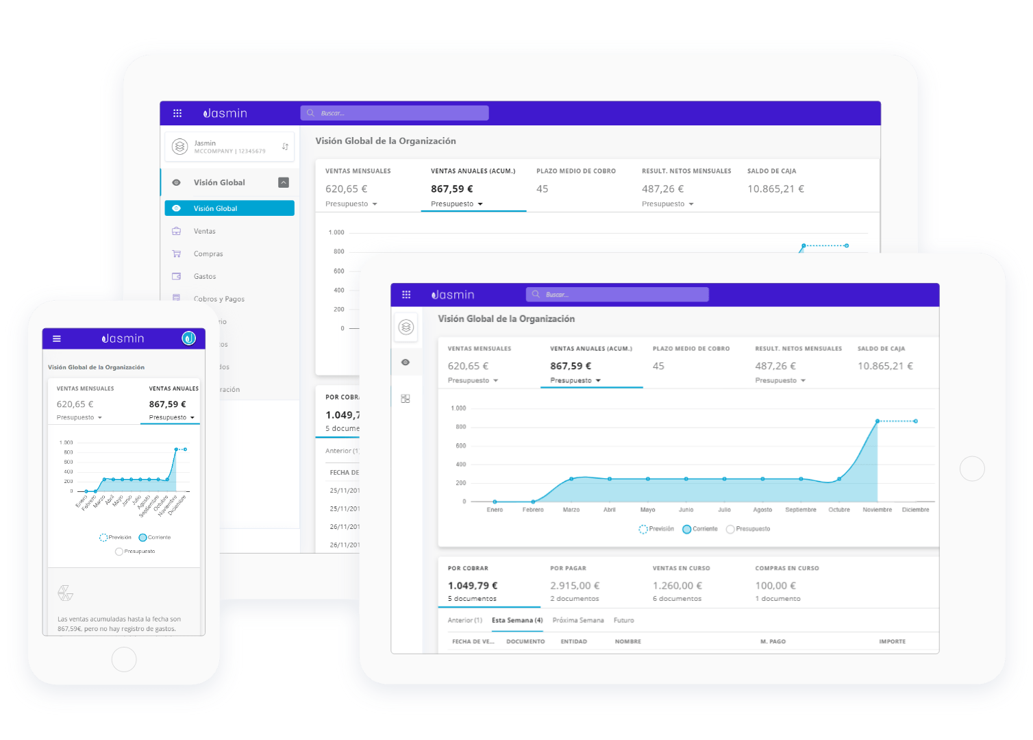Software de Gestión Empresarial Online Jasmin Software