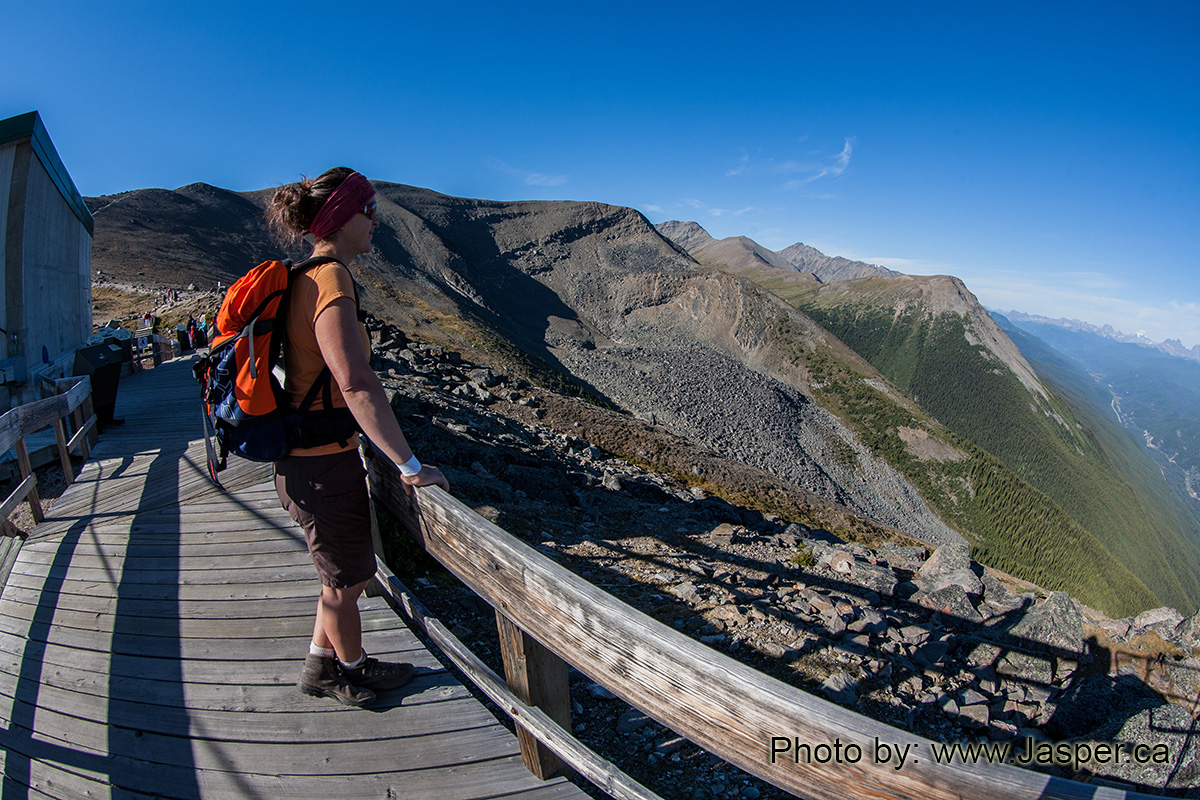IndianRidge_1499 Jasper Alberta Canada