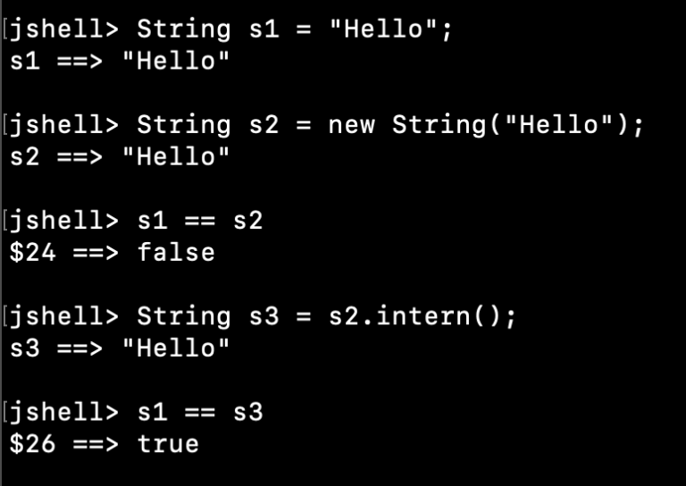 Java String intern() Method Example