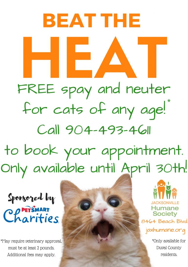 Jacksonville Humane Society Free Spay and Neuter for Cats of ANY Age