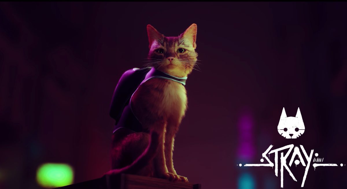 "Stray" video game is a cat platformer that looks surprisingly fun Jaxon