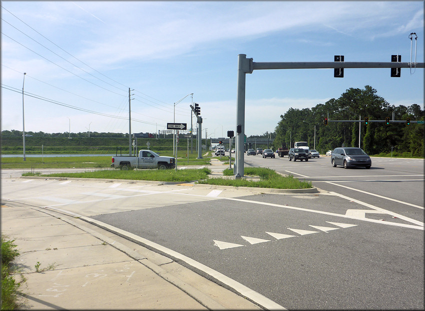 Bulimulus sporadicus At The Exit Ramp From State Road 9B To Philips Highway