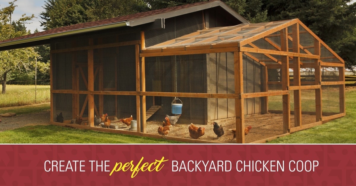 Chicken Coop Designs & Planning JAYK Lumber