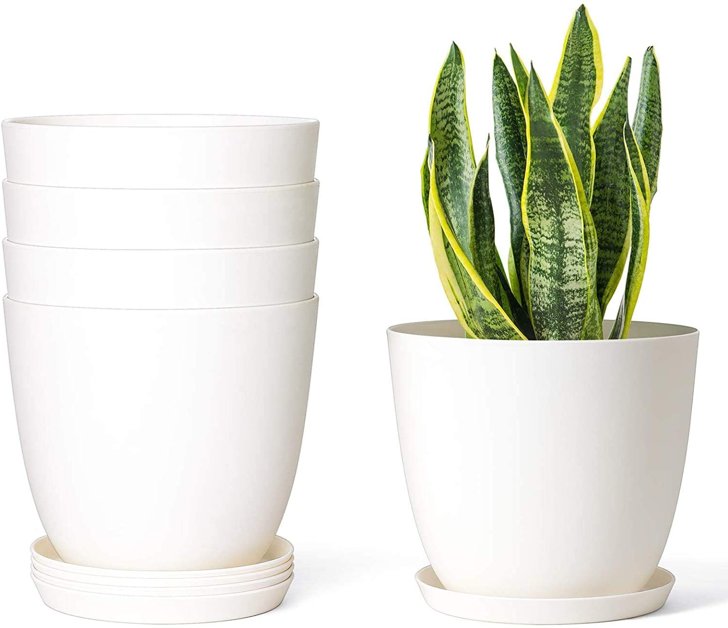 Awesome Affordable Pots for All Your Houseplant Needs (Seriously
