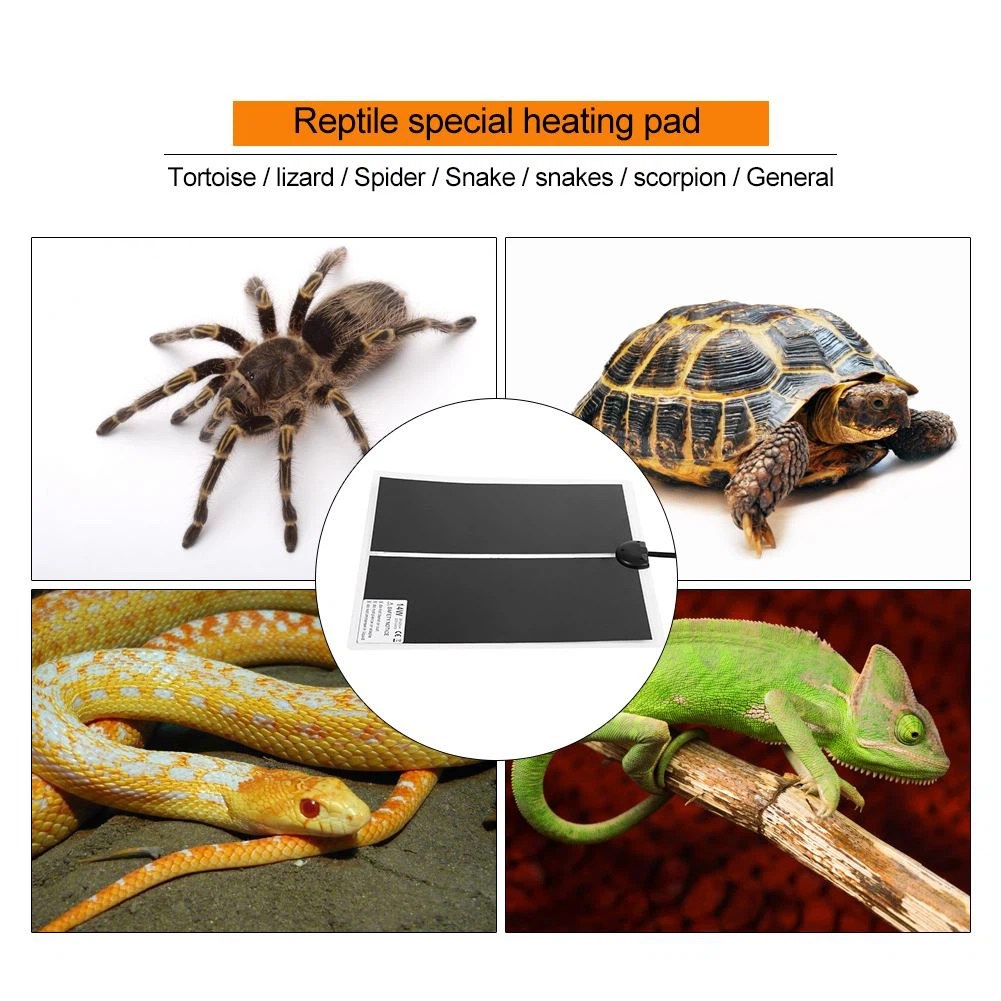 China Custom Tortoise Heat Mat Manufacturers, Suppliers, Factory High