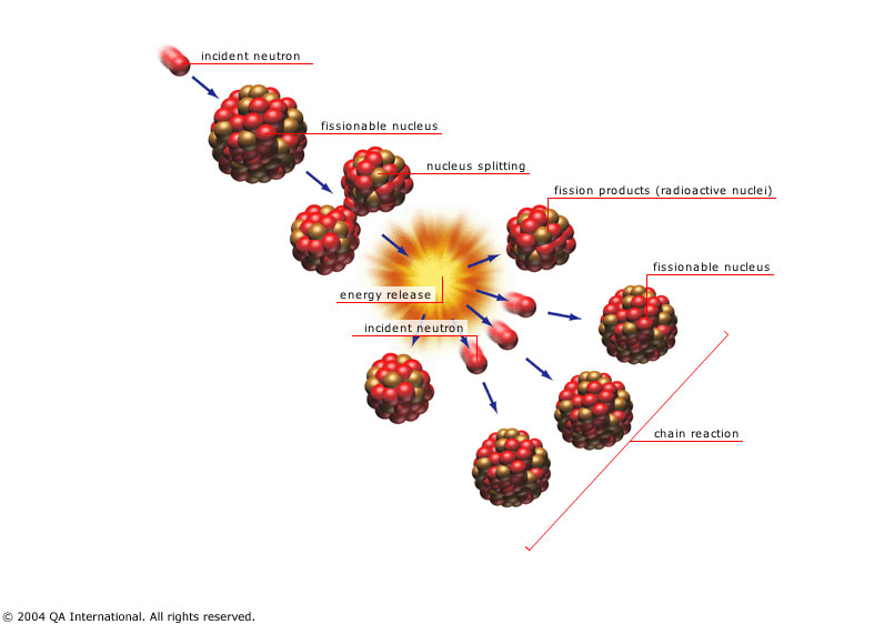 Fission releases neutrons that trigger more fission.