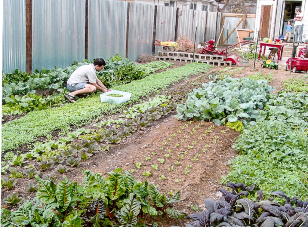 The Daily Dirt Johnson&#039;s Backyard Garden