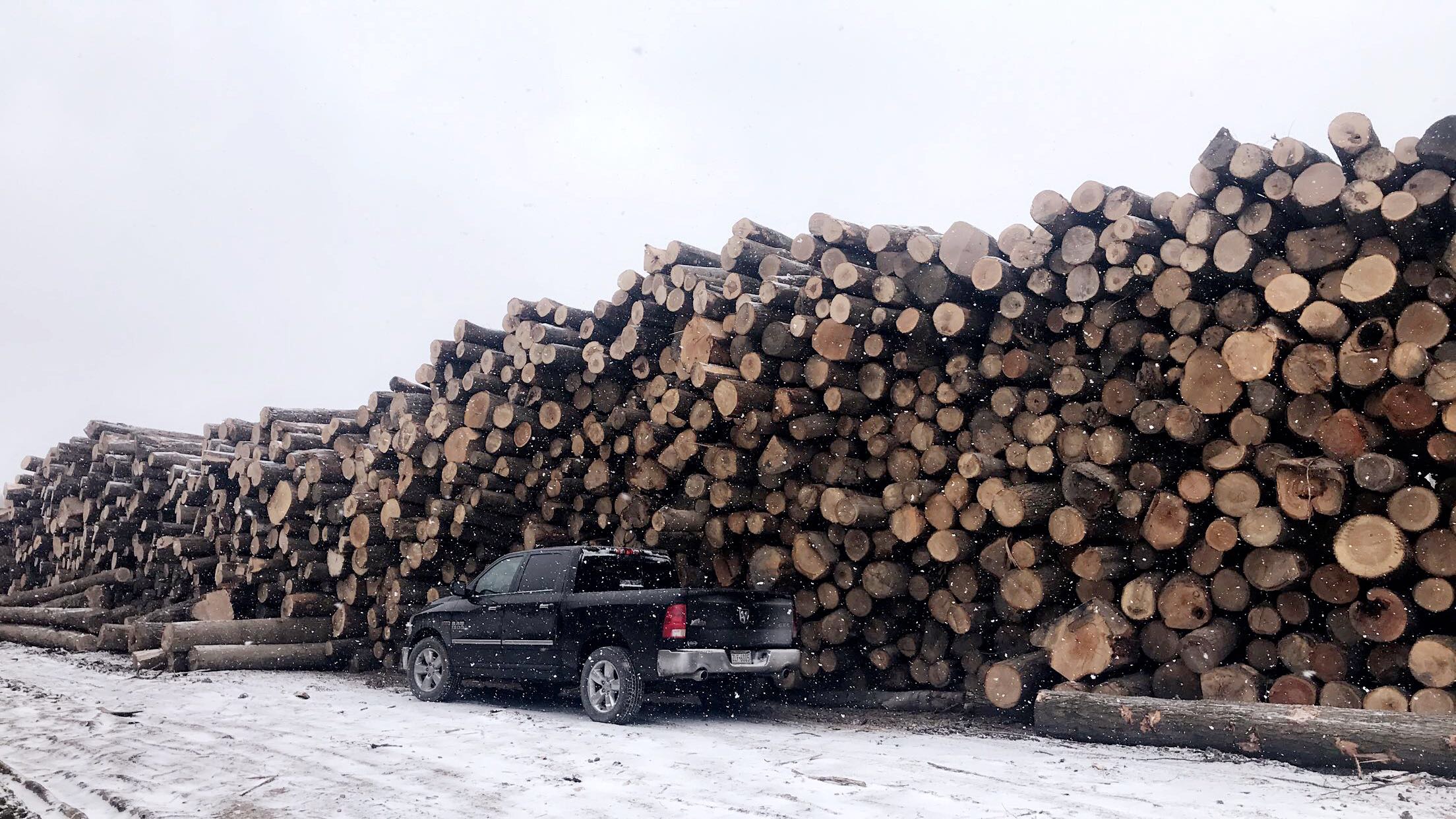 Timber Buyers JB Mill & Fabricating, Inc.