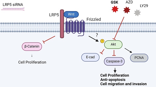 Volume 15, Issue 10 - jca