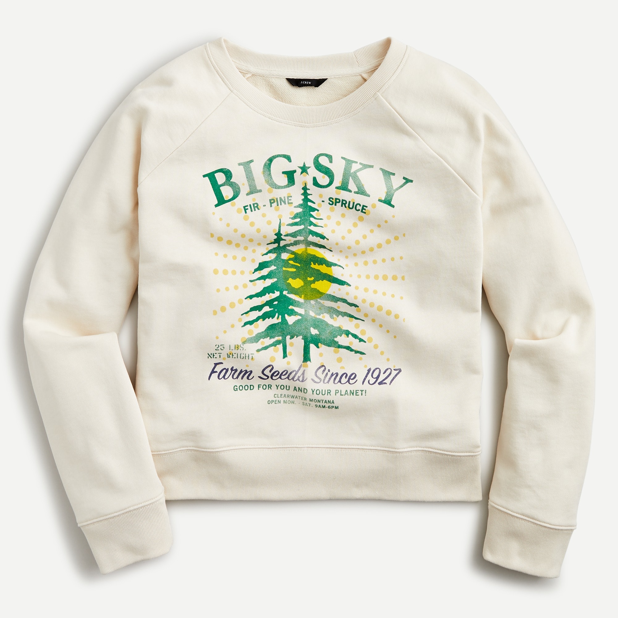 J.Crew Big Sky Sweatshirt In Original Cotton Terry For Women
