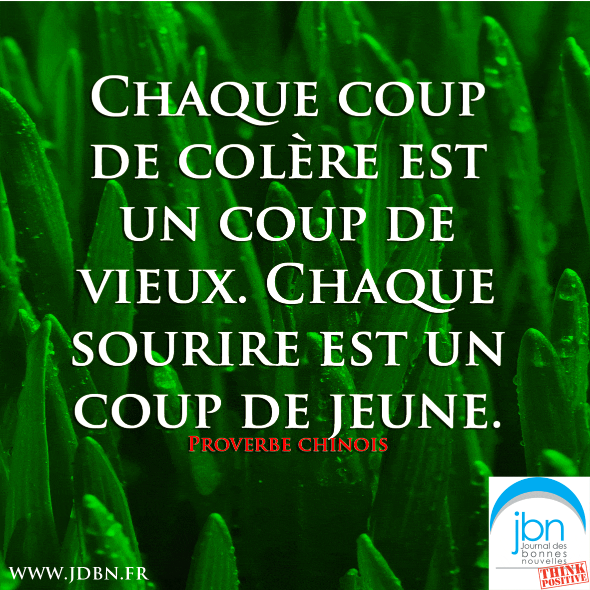 Bon Mercredi 2 Mars A Toutes Et A Tous De La Part Du Jbn Journal Des Bonnes Nouvelles