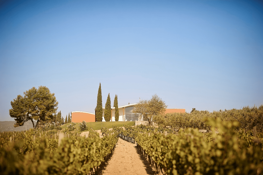 Jean Leon obtains Safe Travels certification for tourist destinations