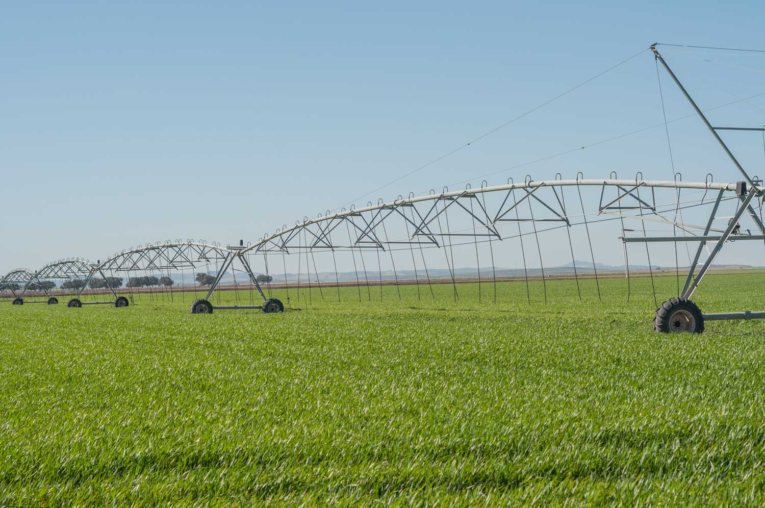 Real Estate For Sale In Eastern Idaho Jed Taylor Blackfoot Real Estate