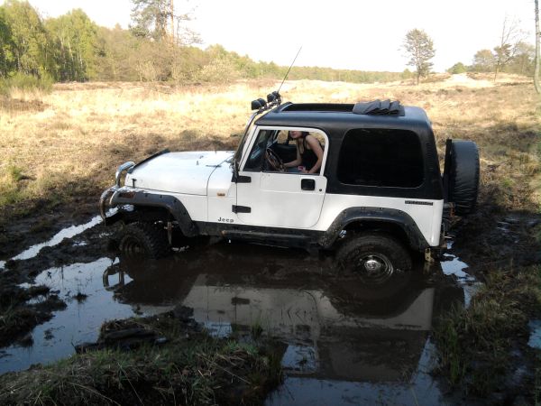 Twingo Faltdach ins Hardtop